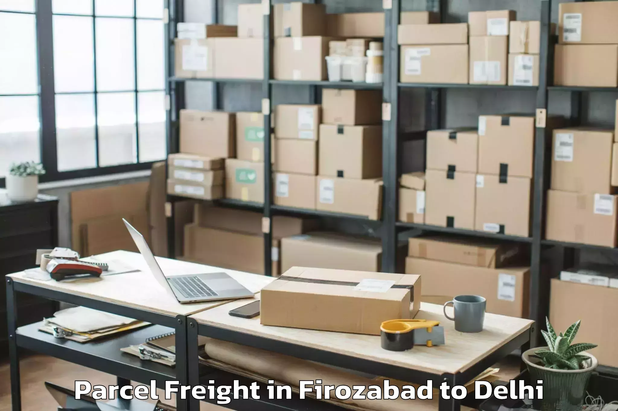 Expert Firozabad to Sarojini Nagar Parcel Freight